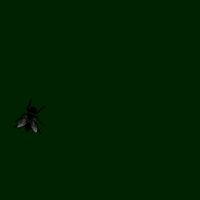 Anima055.GIF