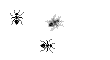 Anima054.GIF