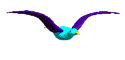 Anima052.GIF