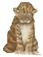 Anima047.GIF
