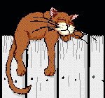 Anima023.GIF