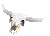 Anima012.GIF