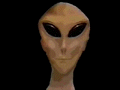 Human022.GIF