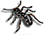 Stati096.GIF