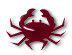 Stati071.GIF