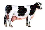 Stati059.GIF