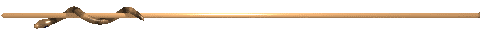 Anim2033.GIF
