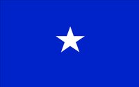 FLAG110.WMF