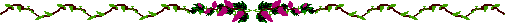 Natur040.GIF
