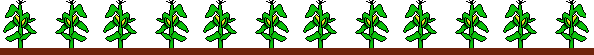 Natur038.GIF