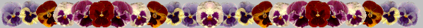 Natur032.GIF