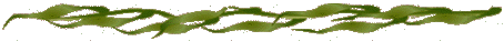 Natur030.GIF
