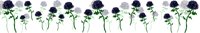 Natur028.GIF