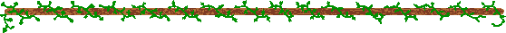 Natur023.GIF