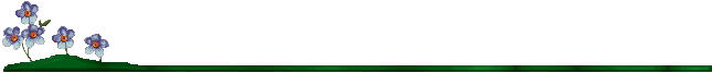 Natur009.GIF