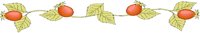 Natur008.GIF