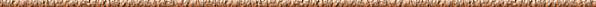 Sliml022.GIF