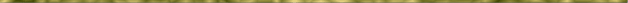Sliml006.GIF