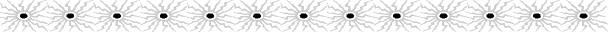 Stati075.GIF