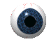 Anima029.GIF