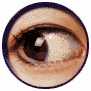 Anima020.GIF