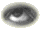 Anima006.GIF