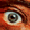 Stati001.GIF