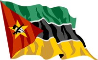 FLAG119B.WMF