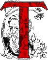 Bigfo019.GIF
