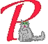 Cat016.GIF