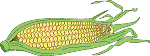 Food211.GIF
