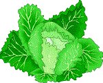 Food181.GIF