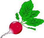 Food111.GIF