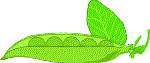 Food088.GIF