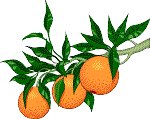 Food065.GIF