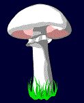 Food061.GIF