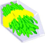 Food013.GIF