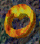 0286.GIF