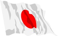FLAG132B.WMF