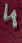 4310.GIF