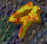 4286.GIF