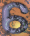 6319.GIF