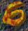 6288.GIF