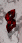 8313.GIF
