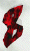 8311.GIF