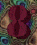 8286.GIF