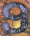 9317.GIF