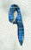 9309.GIF