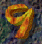 9286.GIF