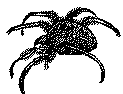 Bw062.GIF